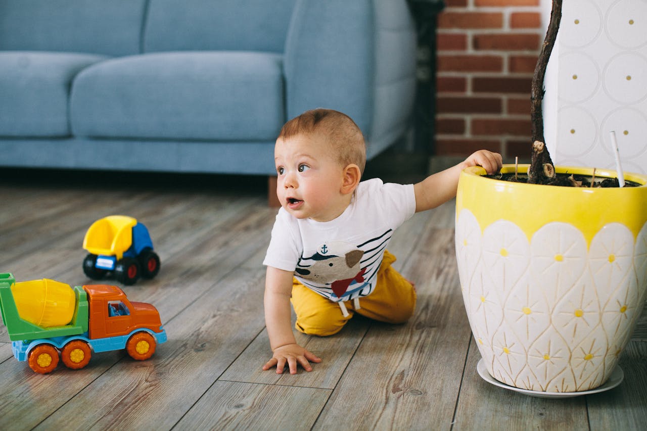 Home Cute baby boy crawling indoors surrounded by colorful plastic toy trucks.